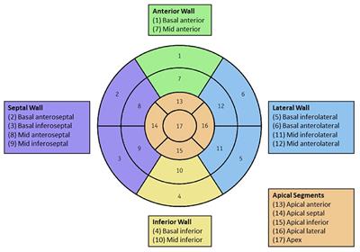 Impact of late gadolinium enhancement extent, location, and pattern on ventricular tachycardia and major adverse cardiac events in patients with ischemic vs. non-ischemic cardiomyopathy